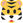 :tiger_face: